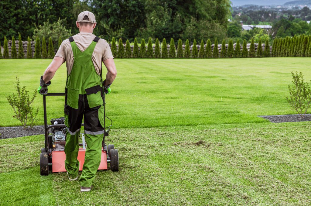 Gardener aerating his lawn