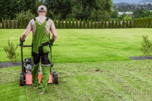 Tips for keeping your lawn green and healthy