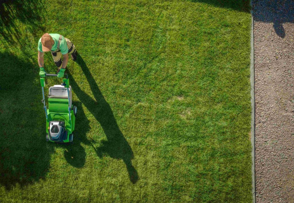 Having a lush green lawn during South Africa's Summer