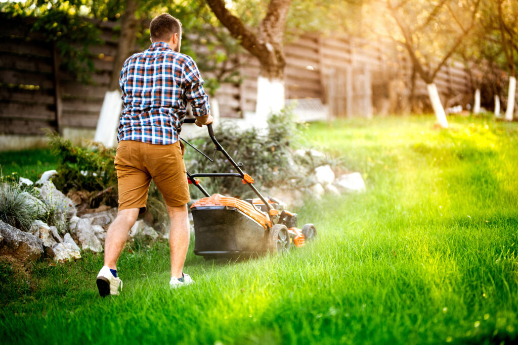 Prepping Your Lawn for South Africa's Summer Sizzle