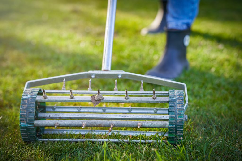 Spring in South Africa | grass aerator on the green lawn