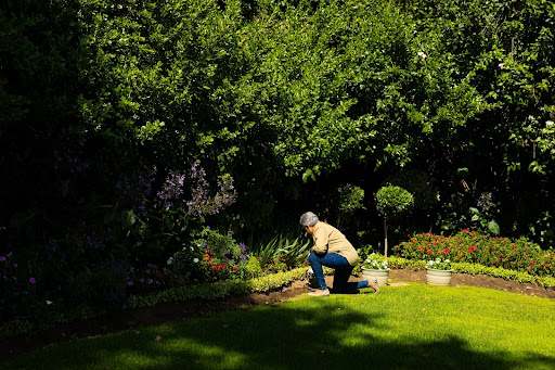 Summer Lawn Guide in South Africa