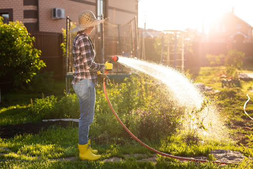 Summer Lawn Guide in South Africa