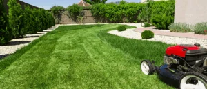 Spring Lawn Mower