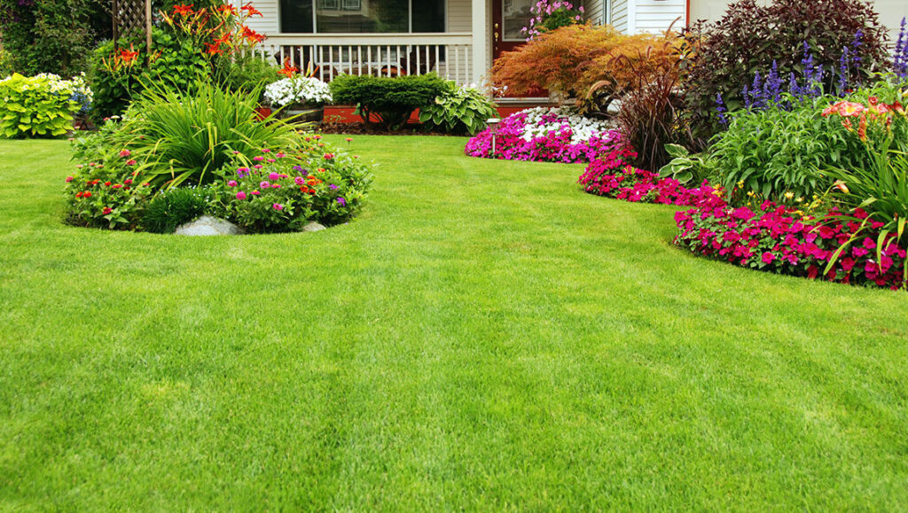 Learn how to mow your lawn properly during South Africa’s hot summer months. GSR Outdoor shares expert tips for healthy, green grass - even in the heat.