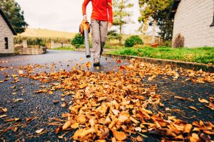 Leaf Control During Autumn and Winter: How to Stay Ahead