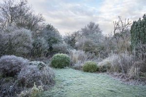 Winter Garden Management