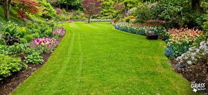 Getting your Garden Ready for Spring 2027 in South Africa