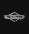 Briggs and Stratton