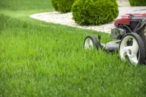 Mowing lawn
