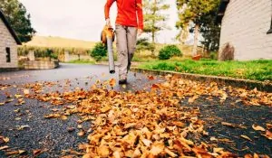 Leaf Control During Autumn and Winter: How to Stay Ahead