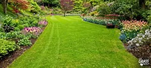 Getting your Garden Ready for Spring 2027 in South Africa